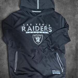 Las vegas raiders nfl performance hoodie